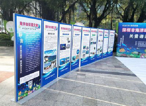 芷江县KT板的种类和知识。